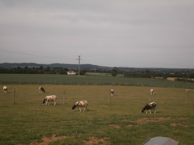 Bricklehampton Nr. Pershore. Worcestershire WR10 3HQ.