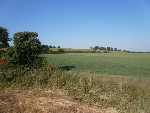 Barretts Cottages Rock, Near Kidderminster, Worcestershire.