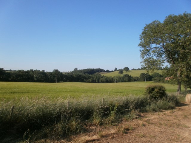 Barretts Cottages Rock, Near Kidderminster, Worcestershire.